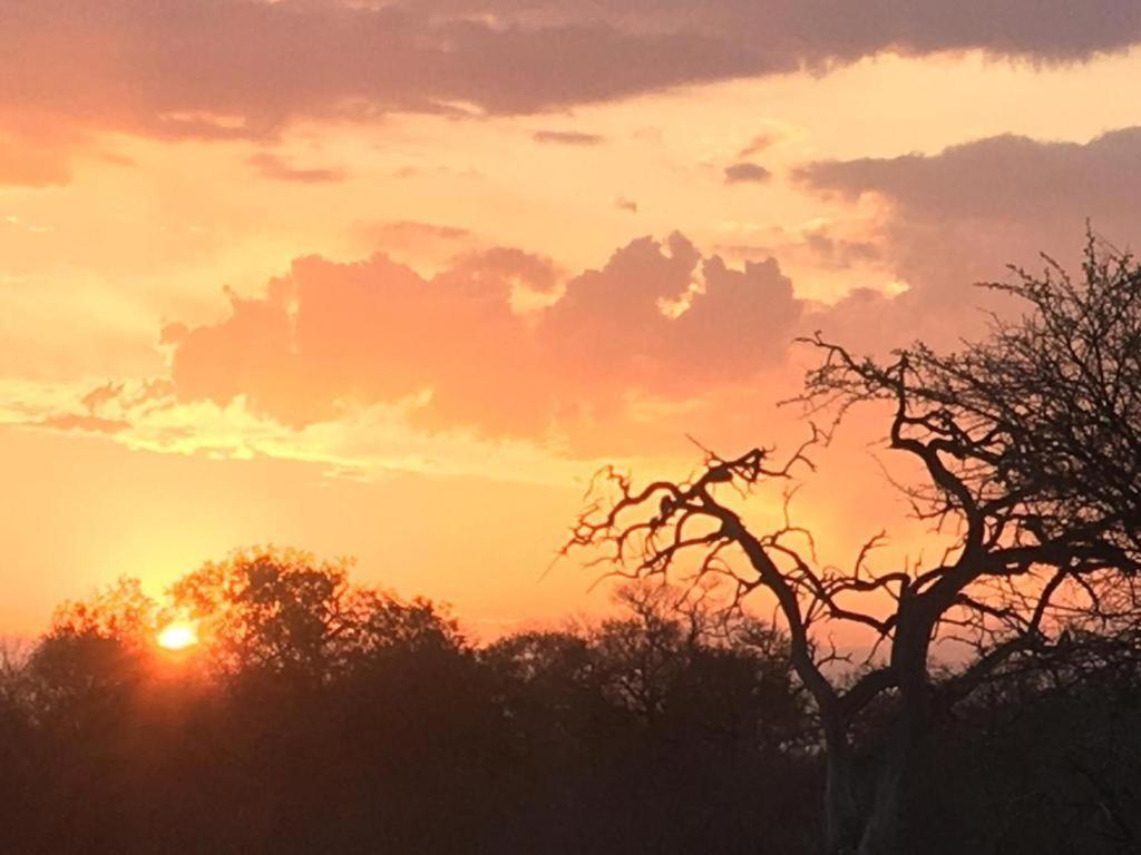 Panache Wildlife Cottage-Self Catering Hoedspruit Eksteriør bilde